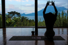 Load image into Gallery viewer, STEAD-D